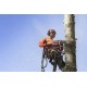 Pilarka spalinowa Husqvarna 550 XP® Mark II