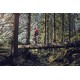 Pilarka spalinowa Husqvarna 572 XP®