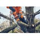 Pilarka Akumulatorowa Husqvarna T542i XP® G