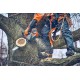Pilarka Akumulatorowa Husqvarna T542i XP®