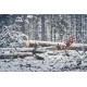 Pilarka spalinowa Husqvarna 560 XP® G Mark II
