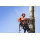 Pilarka spalinowa Husqvarna 550 XP® G Mark II