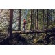 Pilarka spalinowa Husqvarna 572 XP®